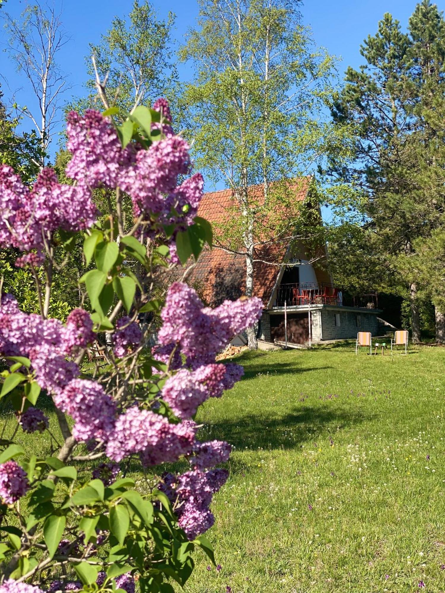 Weekendica Holiday home